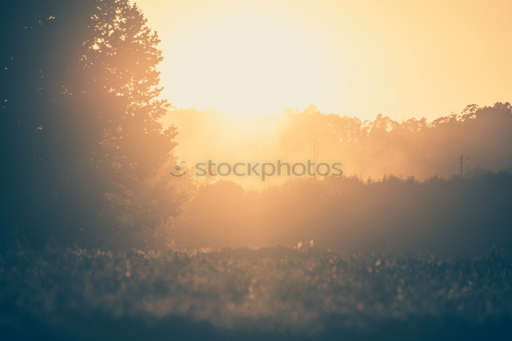 Similar – Image, Stock Photo togetherness Sunset