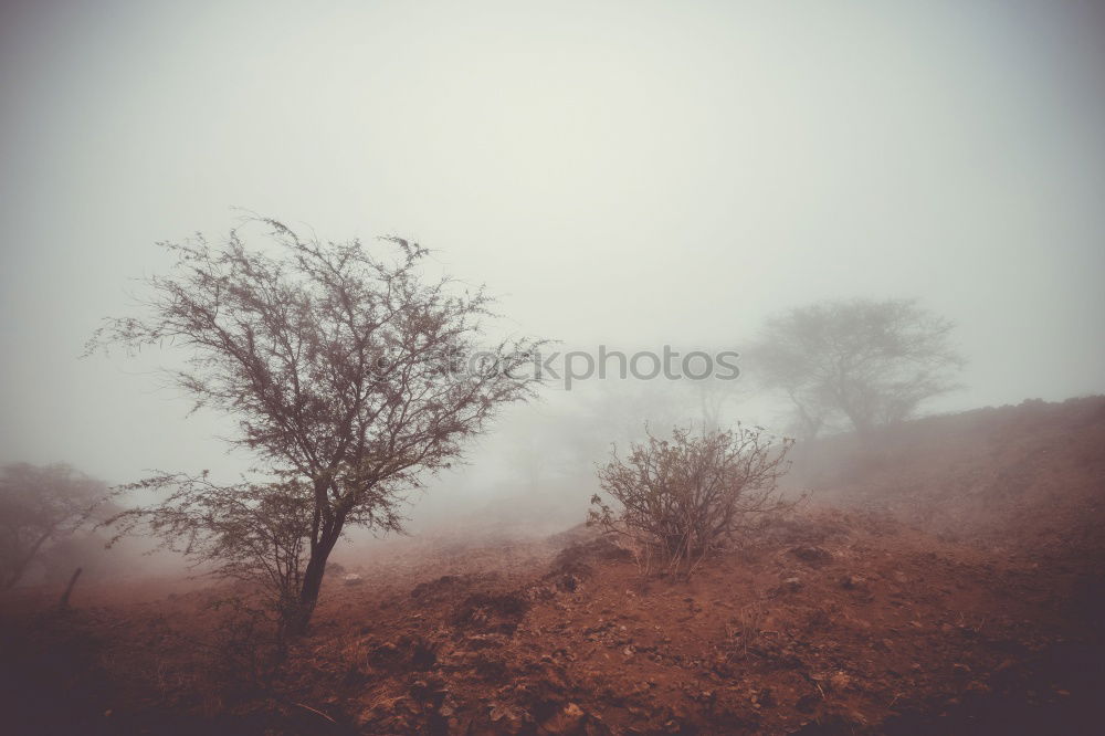 Similar – Image, Stock Photo piece of fence