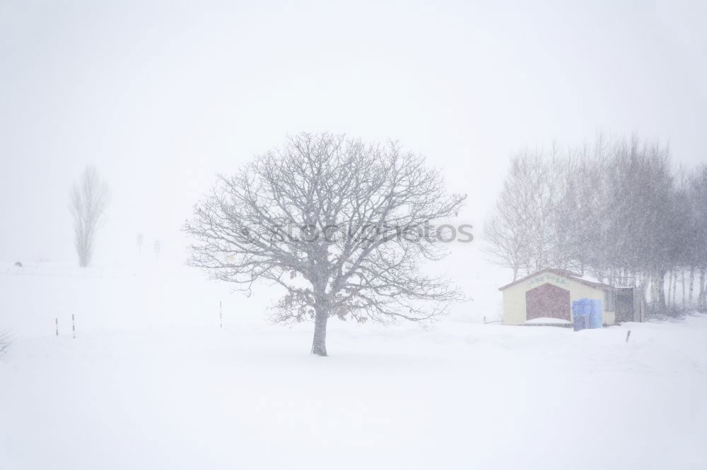 Similar – Snowy road Subdued colour