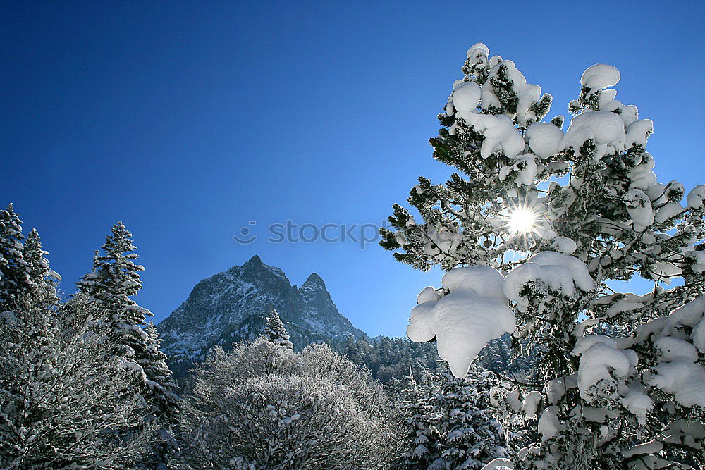 Similar – Image, Stock Photo Augenweide Nature