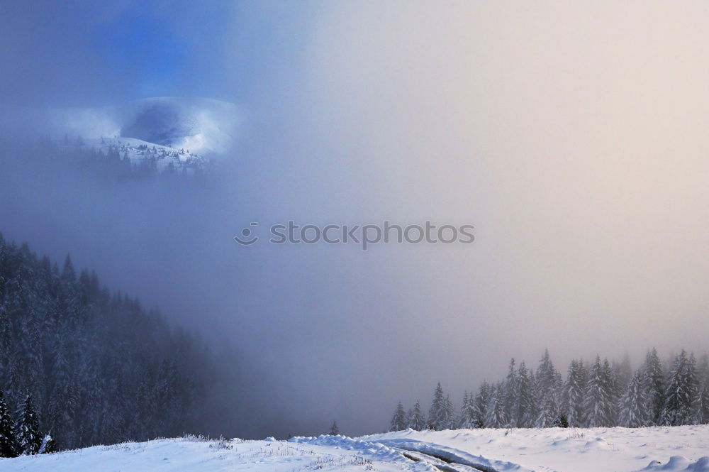 Similar – Image, Stock Photo over the clouds… Clouds