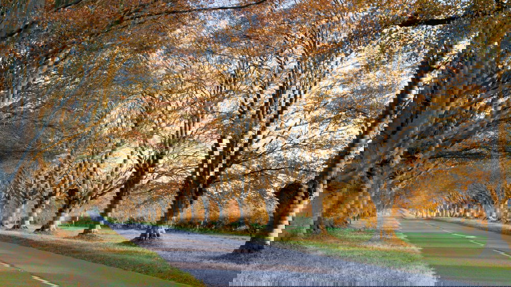 Similar – Image, Stock Photo promenade Environment