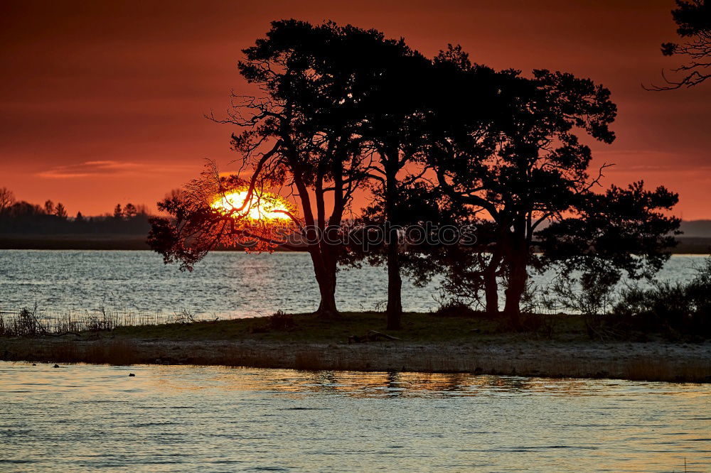 Similar – Image, Stock Photo The lake rests still