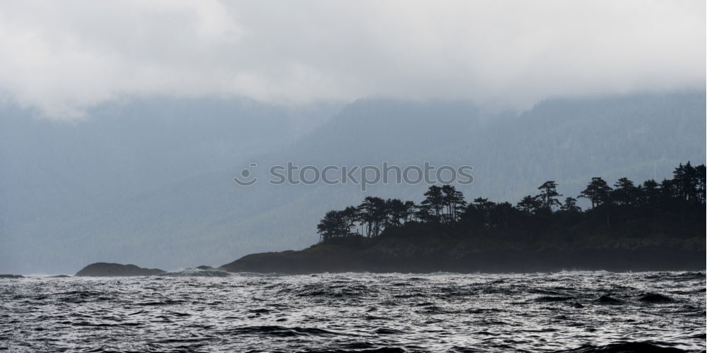 Similar – bay of fog Fog New Zealand