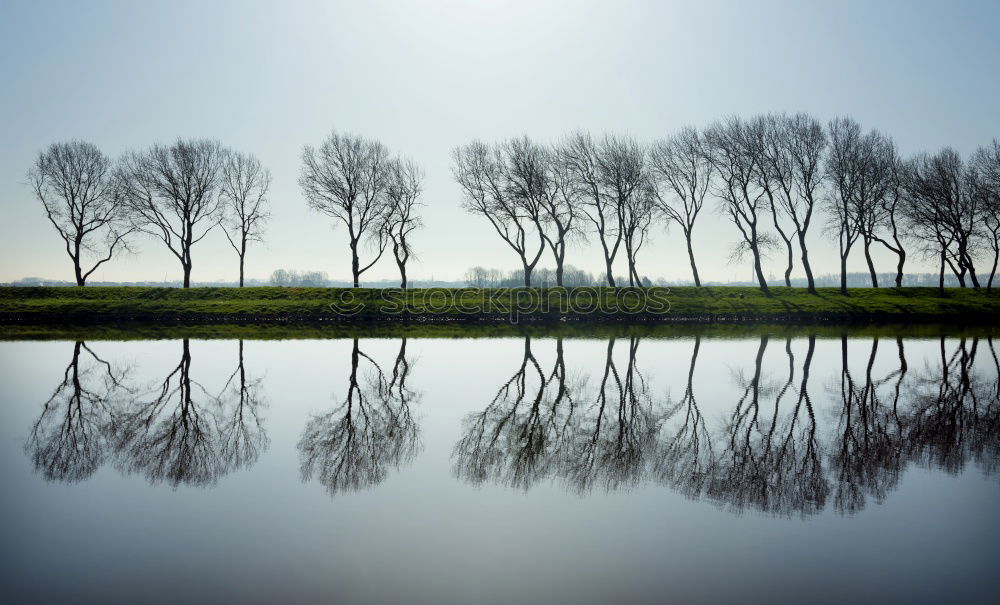 Similar – Foto Bild ::ELBSTRAND:: Baum Holz