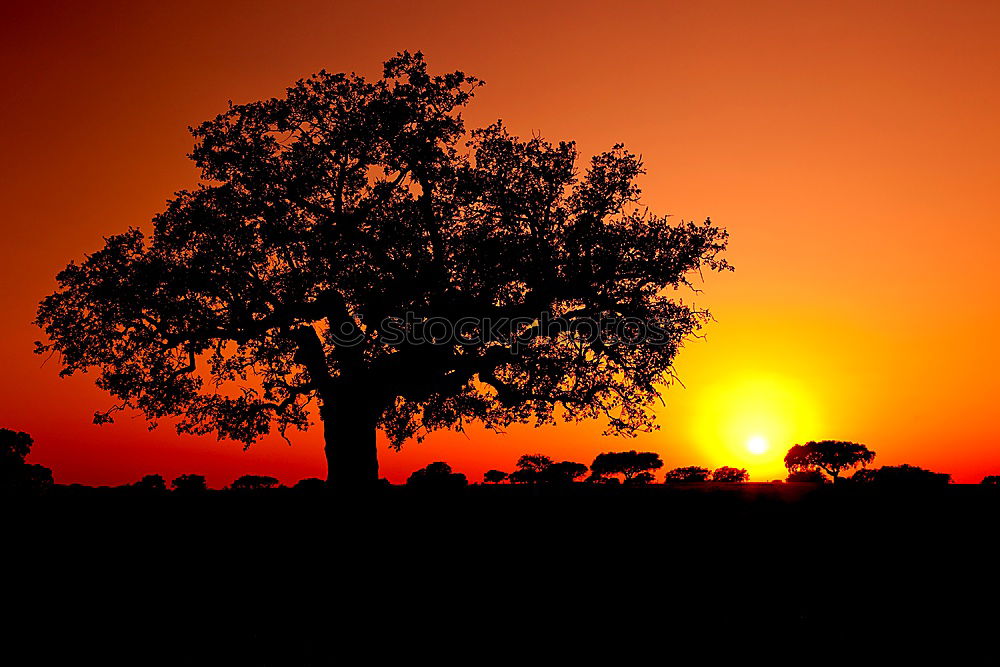 Similar – What’s that glow? Namibia