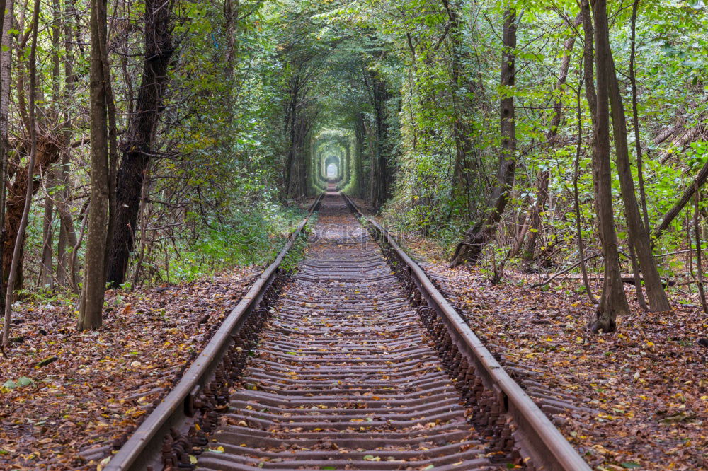 Similar – overgrown Railroad tracks