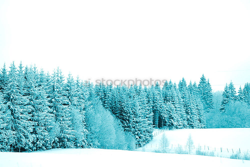 Similar – Image, Stock Photo Aerial winter landscape of high pine trees and a little meandering stream