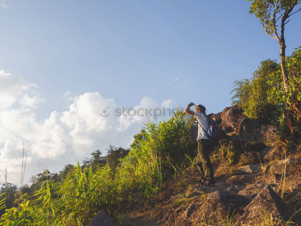 Similar – Image, Stock Photo Rear view, Young woman with hiking rucksack in green forest