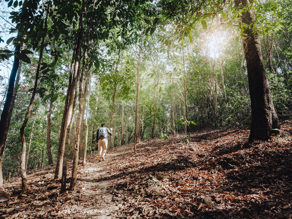 Similar – Woman climbing stairs in the forest