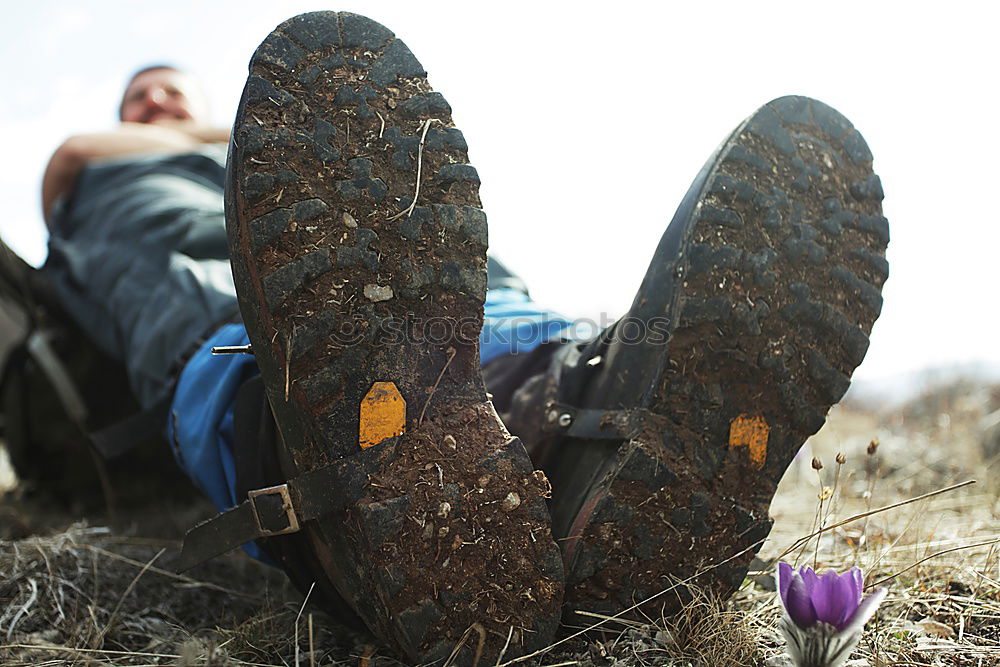 Similar – Foto Bild roskilde walking Zelt Gras