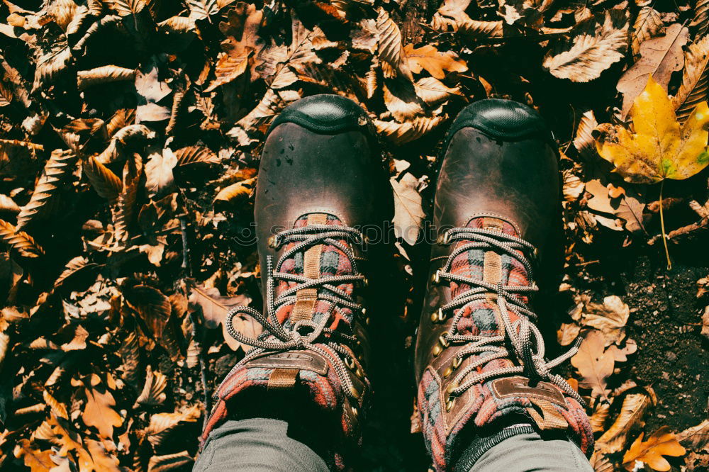 Similar – Two old brown shoes with red laces and youthful legs from above