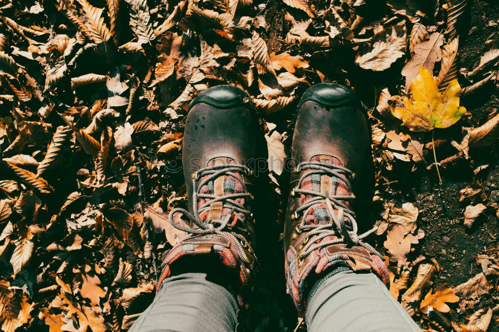 Similar – Two old brown shoes with red laces and youthful legs from above