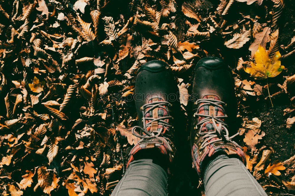 Similar – Two old brown shoes with red laces and youthful legs from above