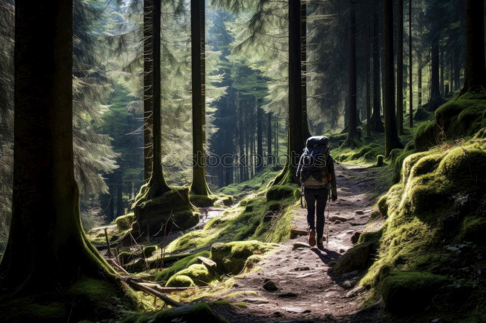 Similar – Woman looking down in forest