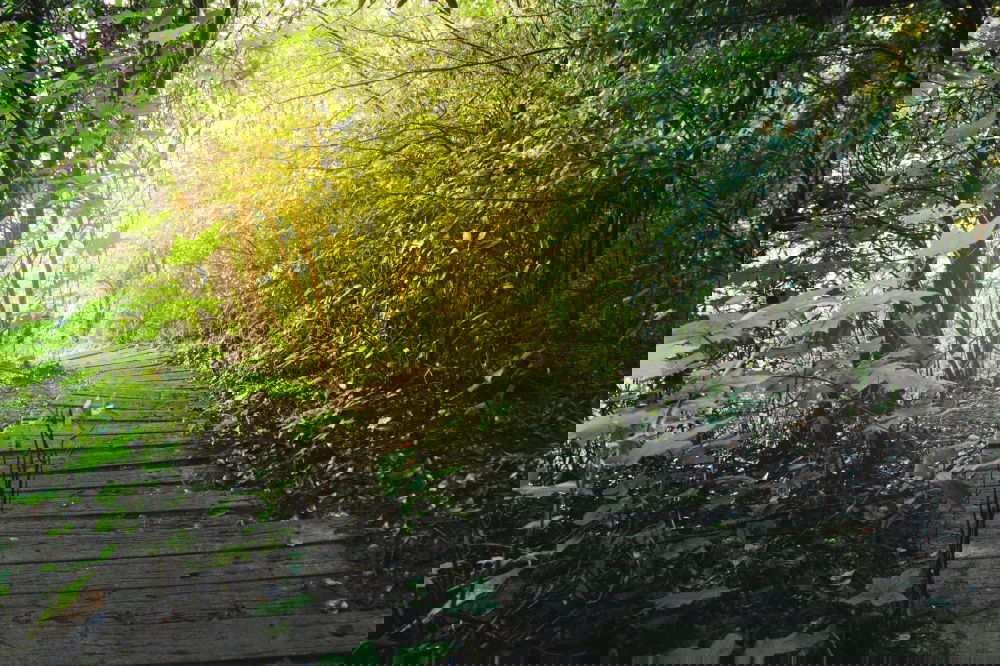 Similar – Image, Stock Photo *1100* favourite variety