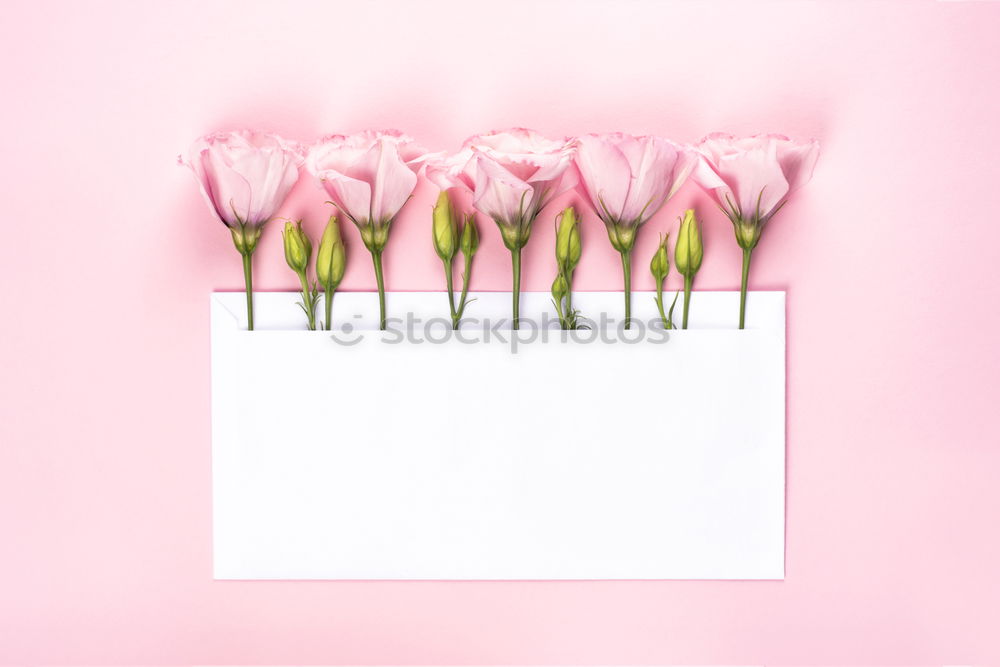 Similar – Opened envelope with peonies