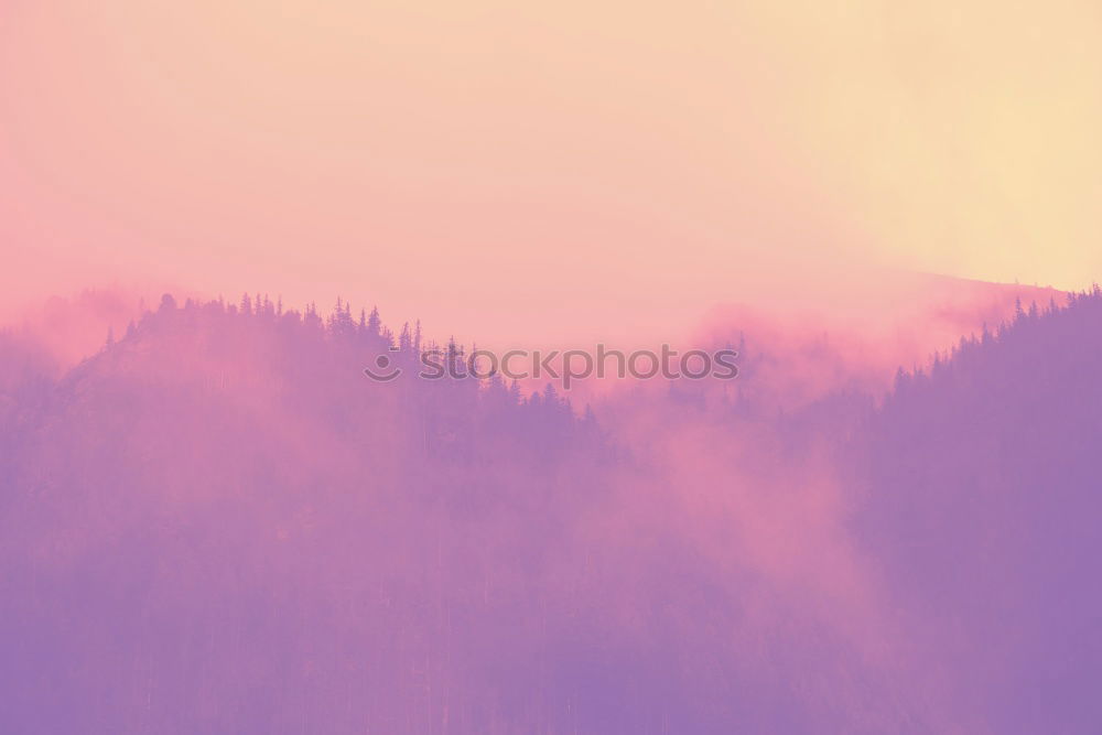 Similar – Image, Stock Photo Sunrise at Domaine de Bérinzenne