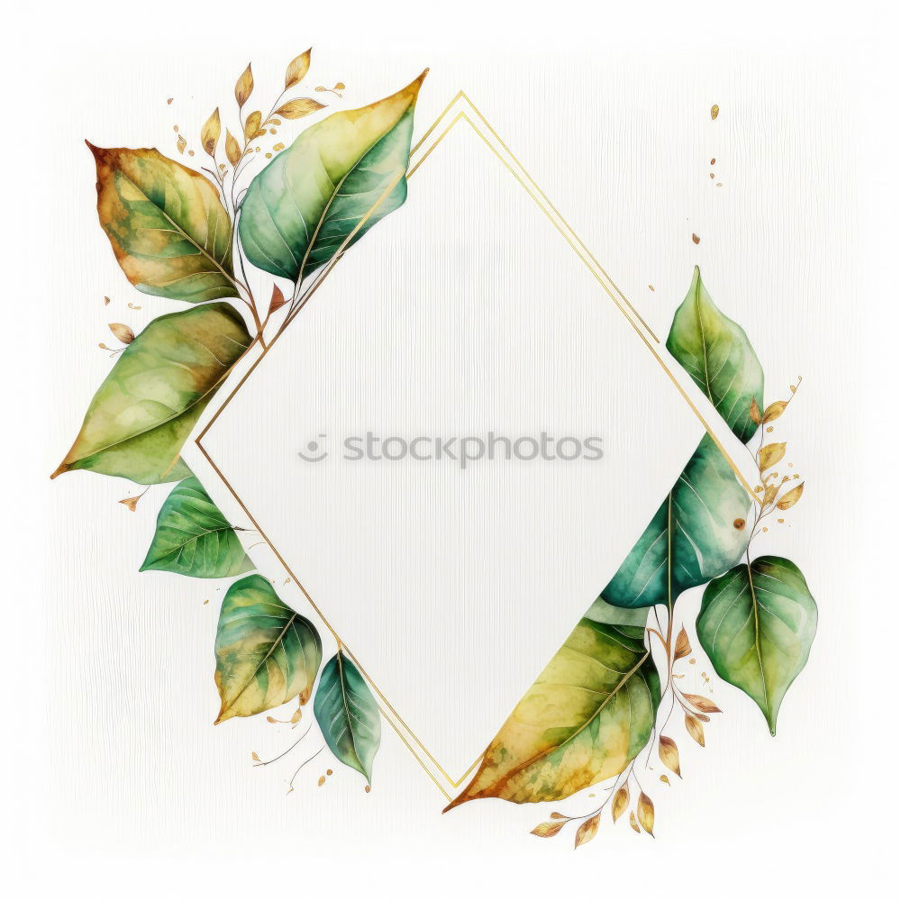 Similar – Watercolor Bohemian golden frame with dried leaves and tropical flowers illustration