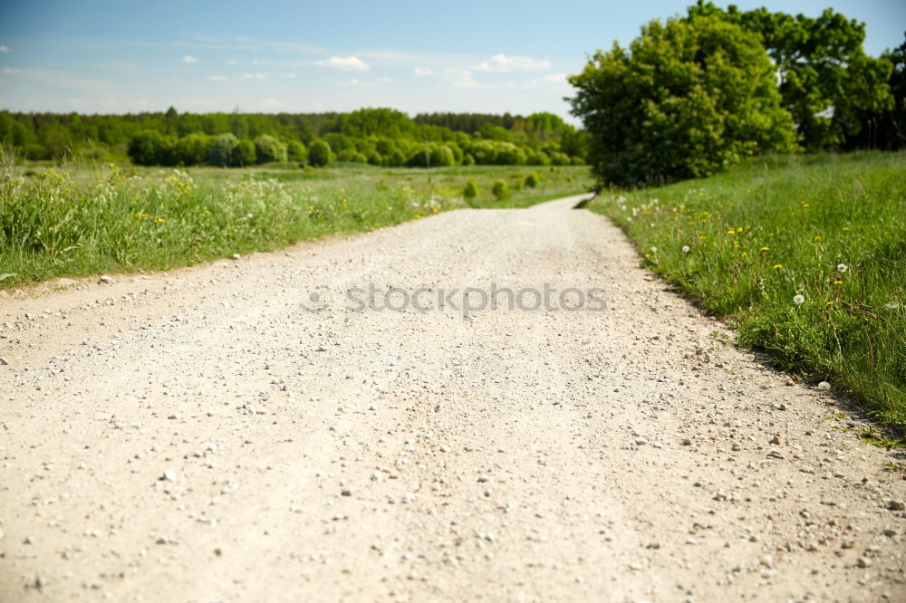 Similar – Image, Stock Photo curro Hiking Field