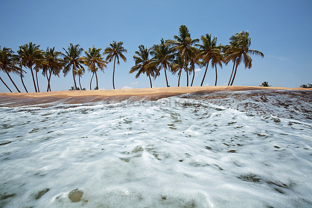 Similar – Diani Beach