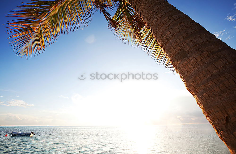 Similar – Image, Stock Photo The planet is on fire