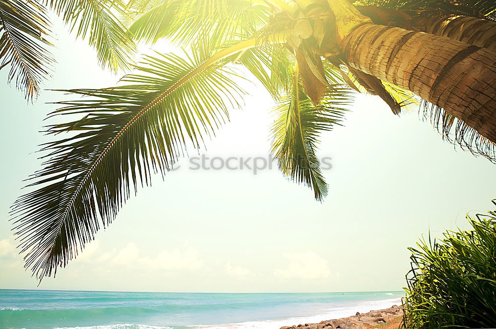 Similar – Image, Stock Photo Bali Sunset. Exotic