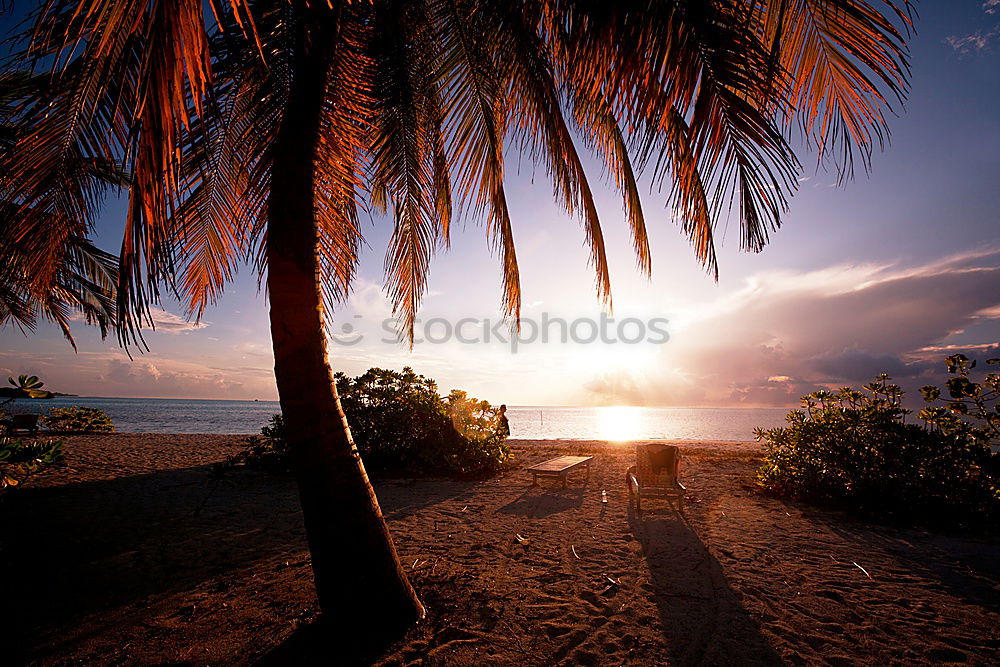 Similar – baywatch Beach Hawaii