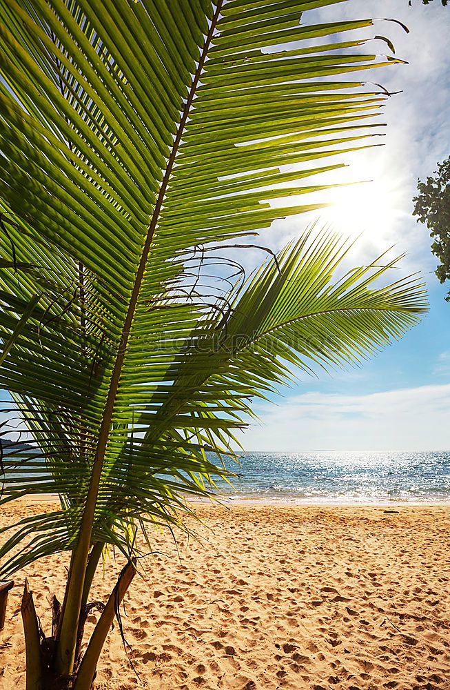 Similar – Image, Stock Photo the beach Beach Spain