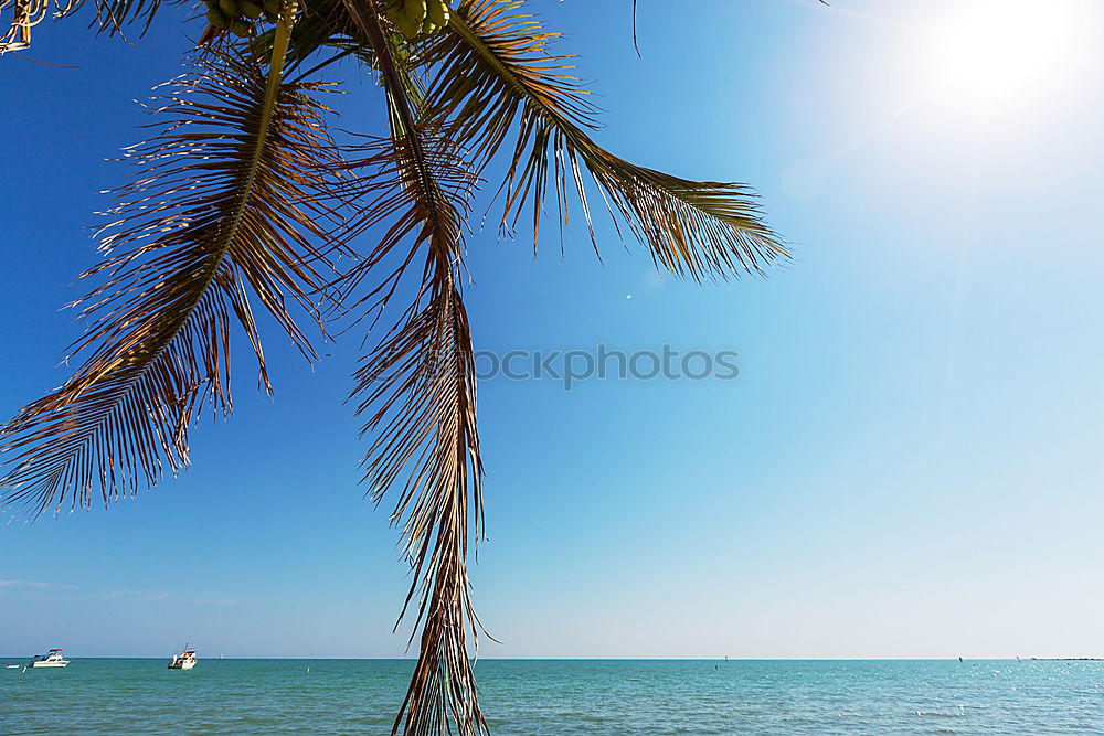 Similar – Image, Stock Photo the beach Beach Spain