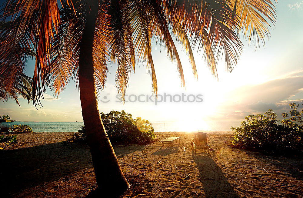 Similar – baywatch Beach Hawaii