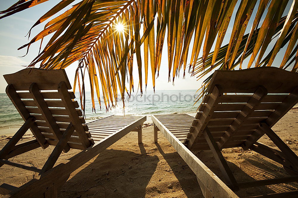 Similar – baywatch Beach Hawaii