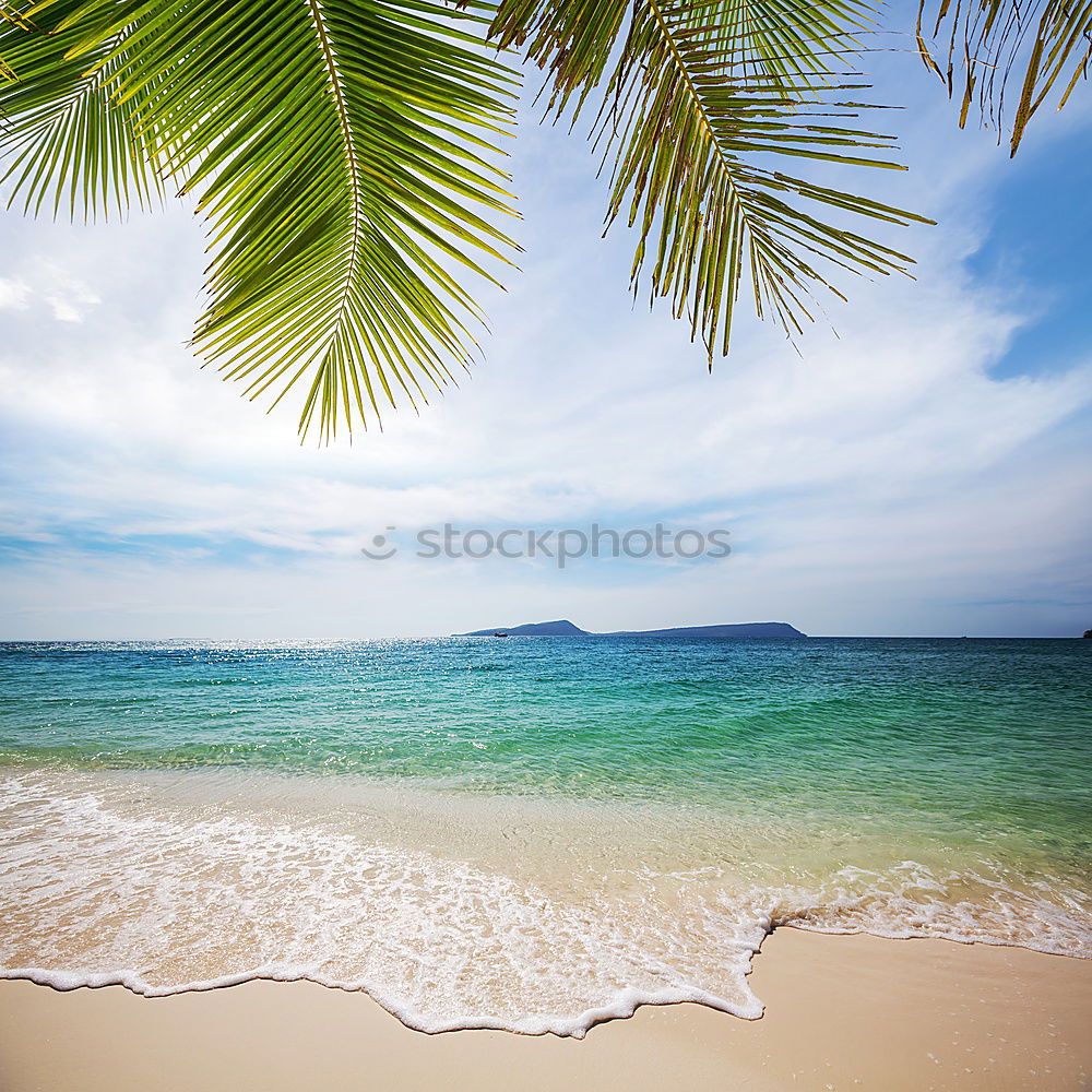 Similar – Image, Stock Photo twosome Vacation & Travel