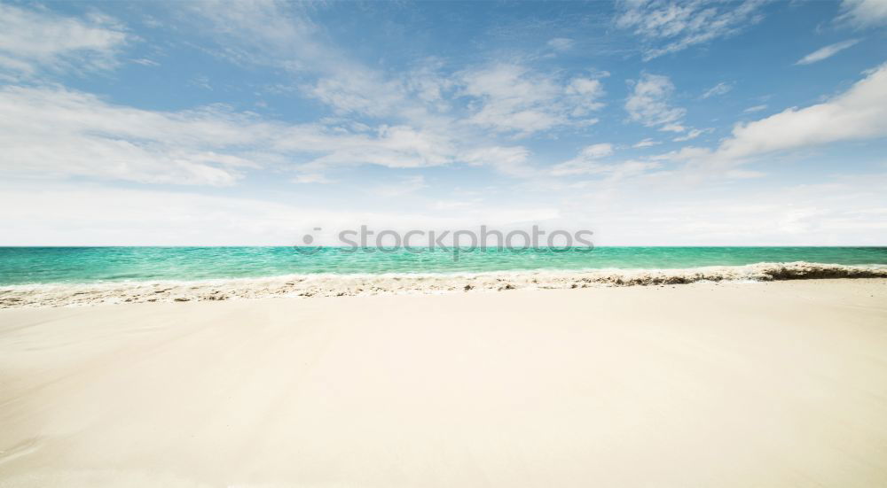 Similar – Image, Stock Photo am_meer02 Expectation