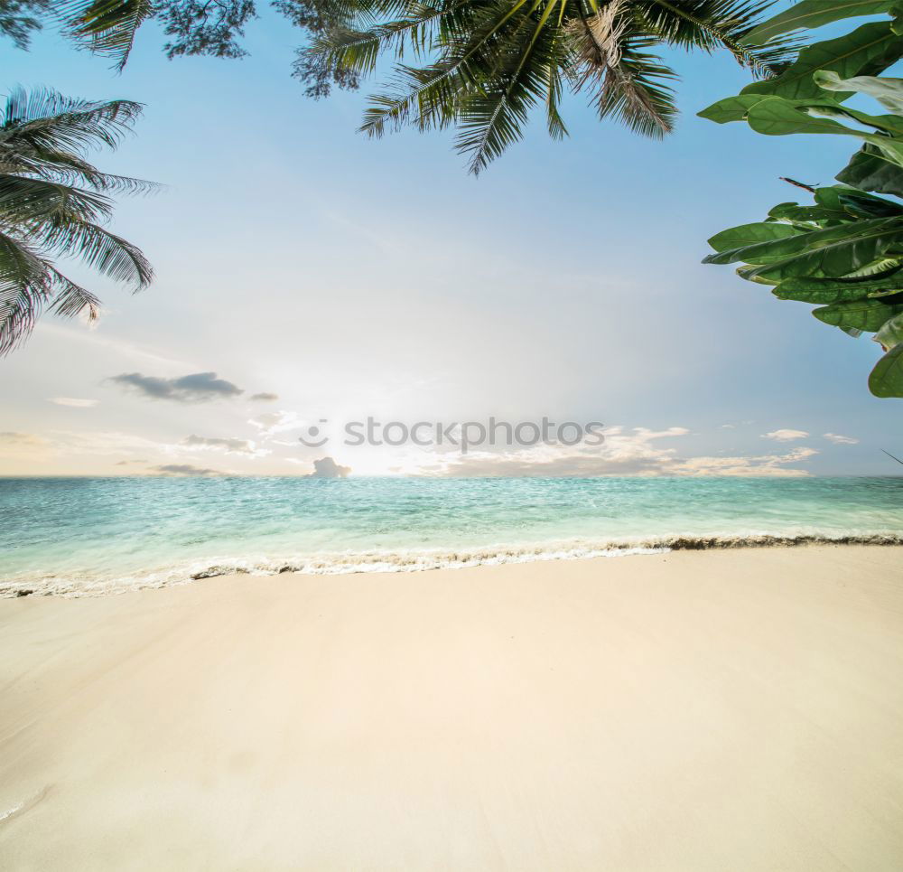 Similar – Saona Island near Punta Cana, Dominican Republic