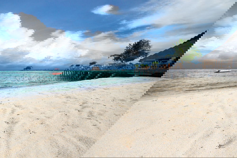 Bon Island Nature