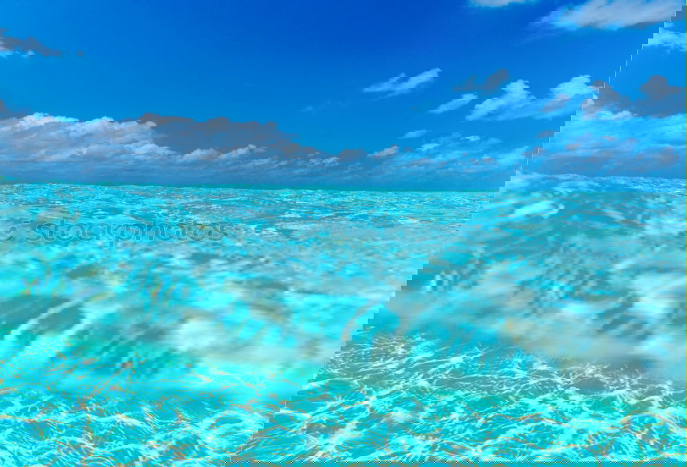 Similar – Image, Stock Photo pool Lifestyle Wellness