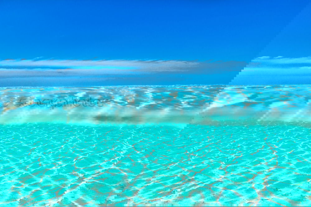 Similar – Image, Stock Photo pool Lifestyle Wellness