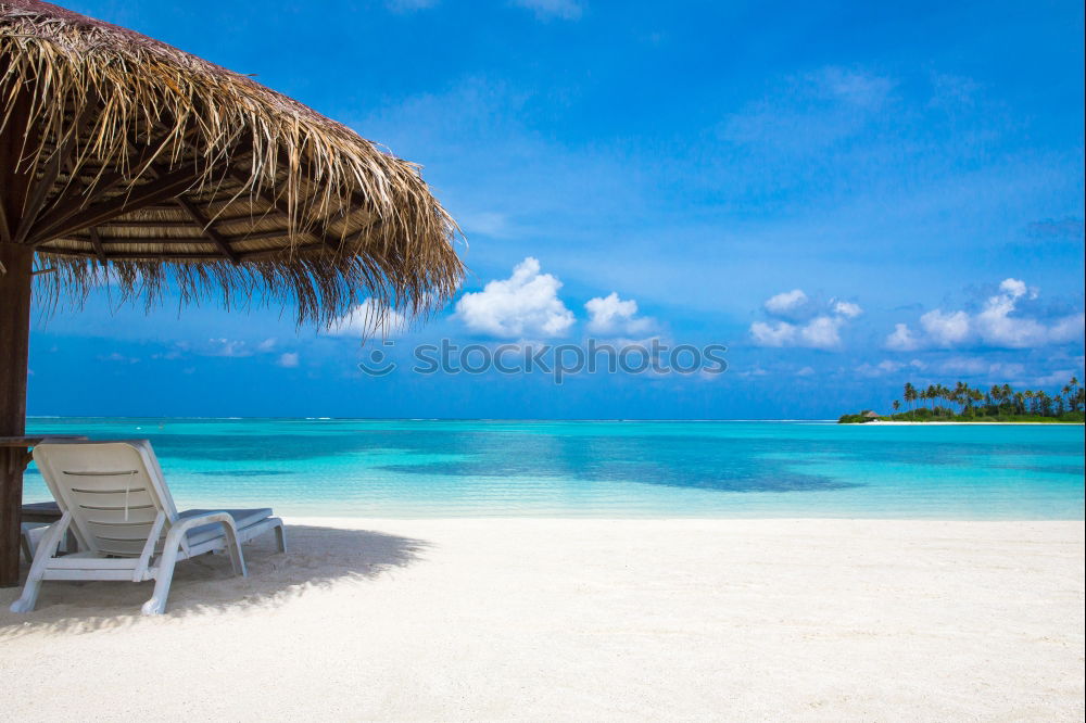 Similar – Image, Stock Photo DreamBeach Sunshade Beige