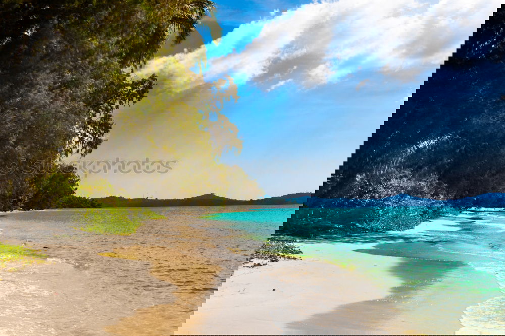Similar – Image, Stock Photo twosome Vacation & Travel