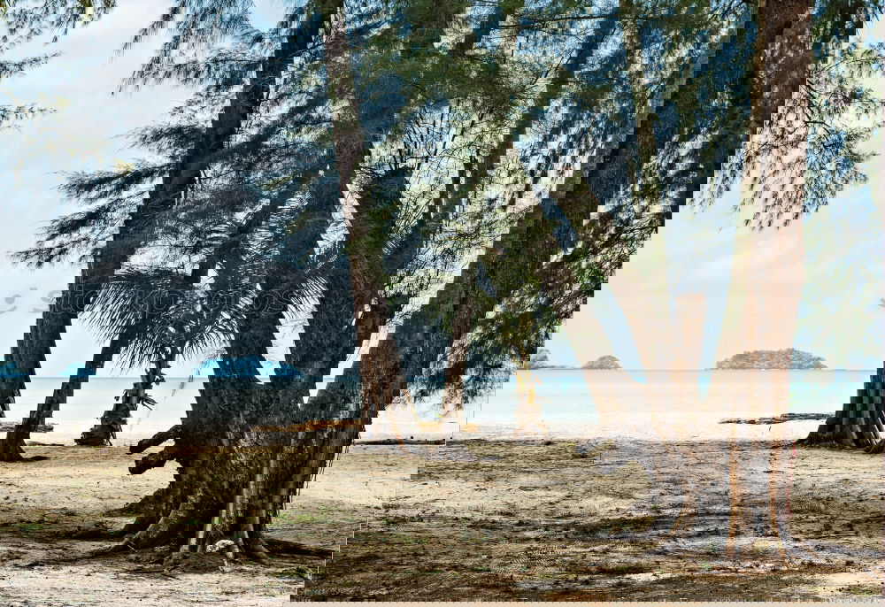 Similar – Foto Bild Angler im Paradies unter Palmen