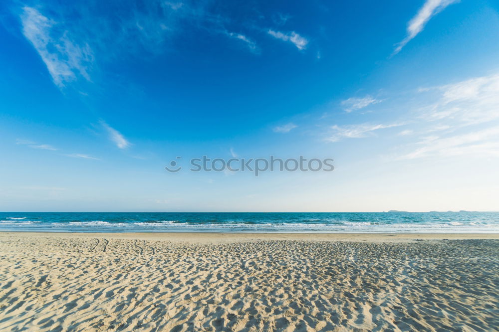 Similar – Image, Stock Photo beach mushroom Baltic Sea