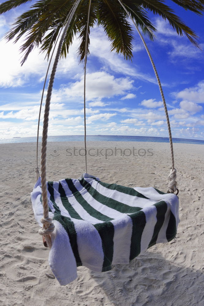 Similar – Straw umbrellas on the beach