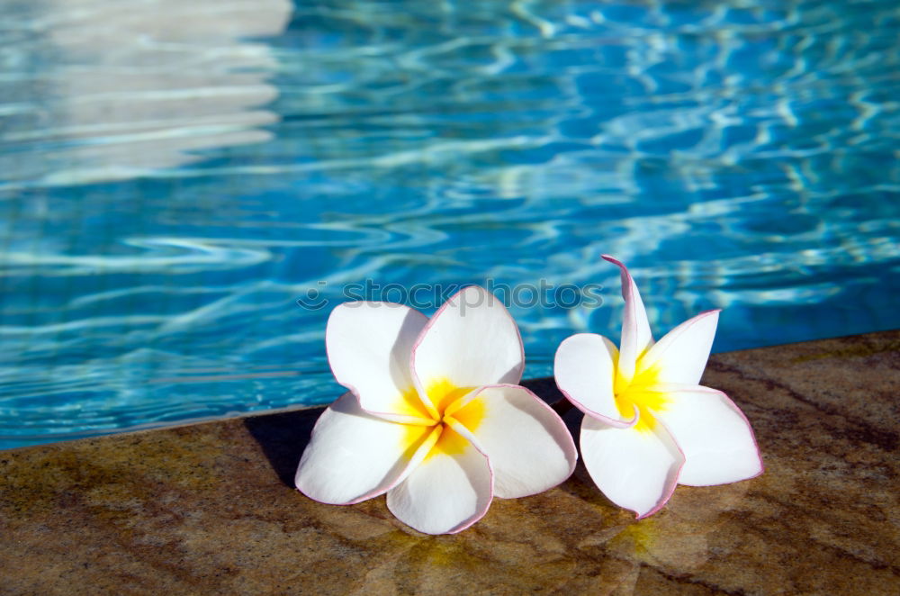 Similar – Image, Stock Photo the way to the beach at 48°C