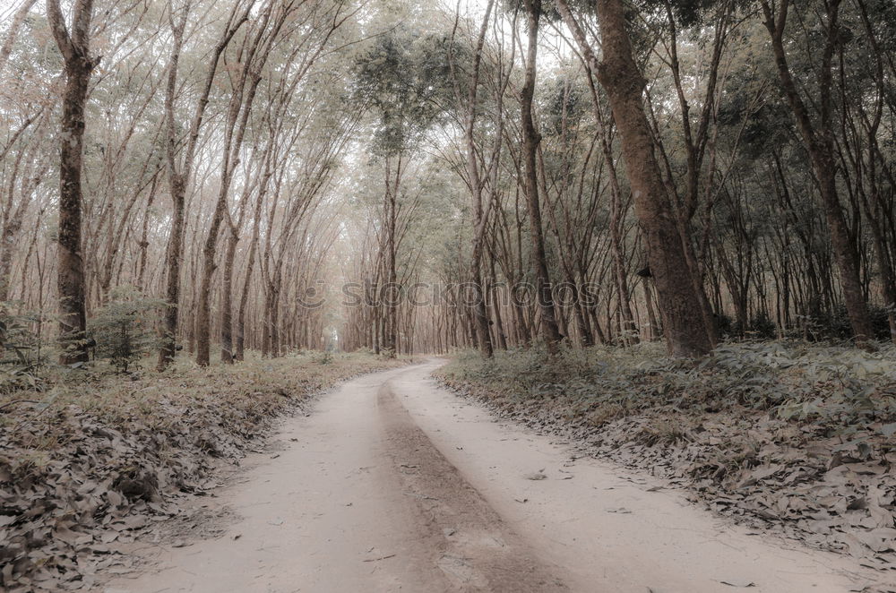 Similar – Road on Kangaroo Island