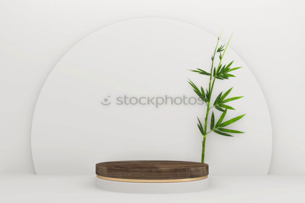 Similar – Image, Stock Photo lilies Plant Flower Leaf