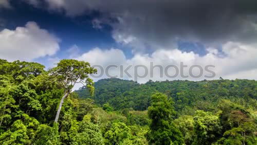 Similar – Image, Stock Photo Wartburg Castle Calm