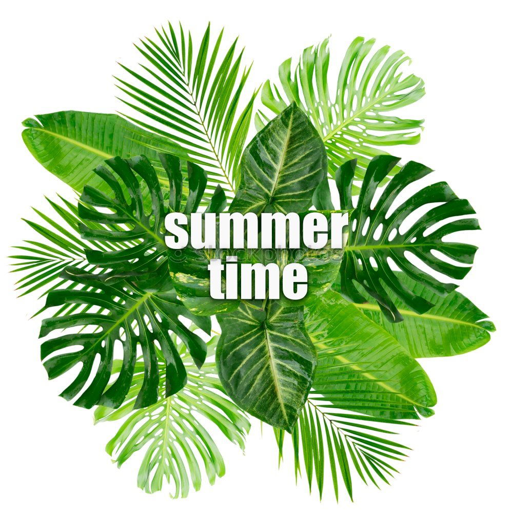 Da gehts lang! Sommer