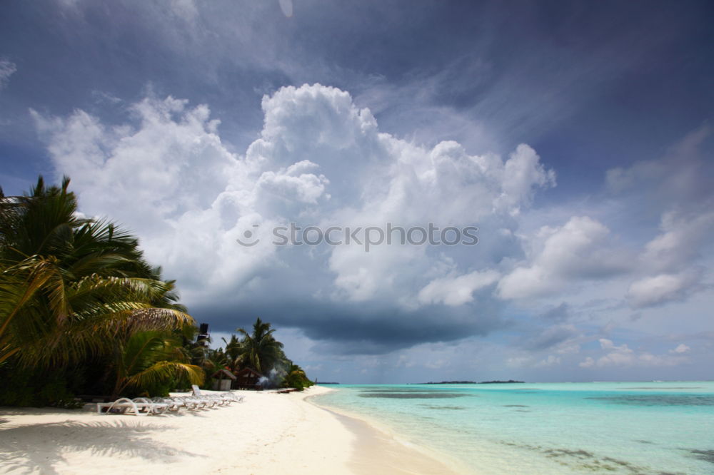 Similar – Image, Stock Photo * DREAM * Relaxation Calm