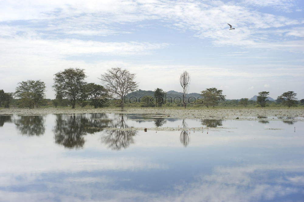 Image, Stock Photo A little water….